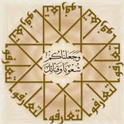 جعلناكم شعوبا و قبائل لتعارفوا