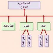 السنة